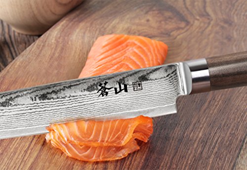 Cangshan J Series 62786 X-7 Steel Sashimi Chef Knife With Walnut Sheath, 10-Inch #TOP7