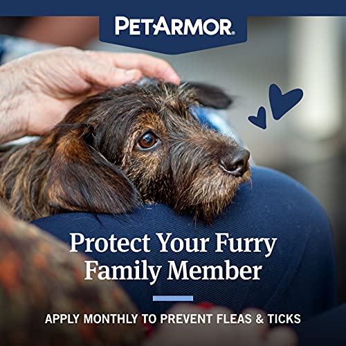 Capstar (Nitenpyram) Fast-Acting Flea Treatment + Petarmor Plus Long-Lasting Flea And Tick Protection Bundle Pack For Medium Dogs #TOP2