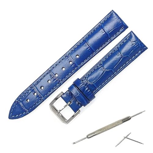 vxg {v v NR^ obNJ[Vo[ ol_EHt voh (16, u[)