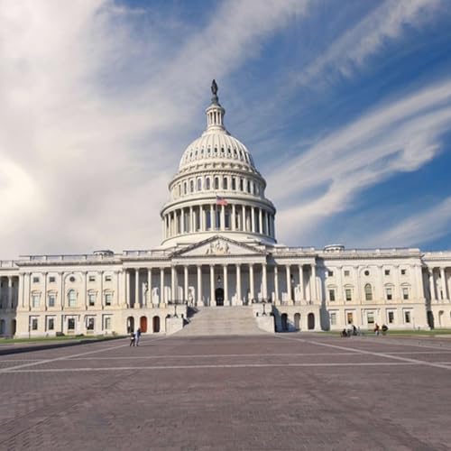 『Repairing the House: Jeff Mayhugh and the Effort to Add Representation to Congress』のカバーアート