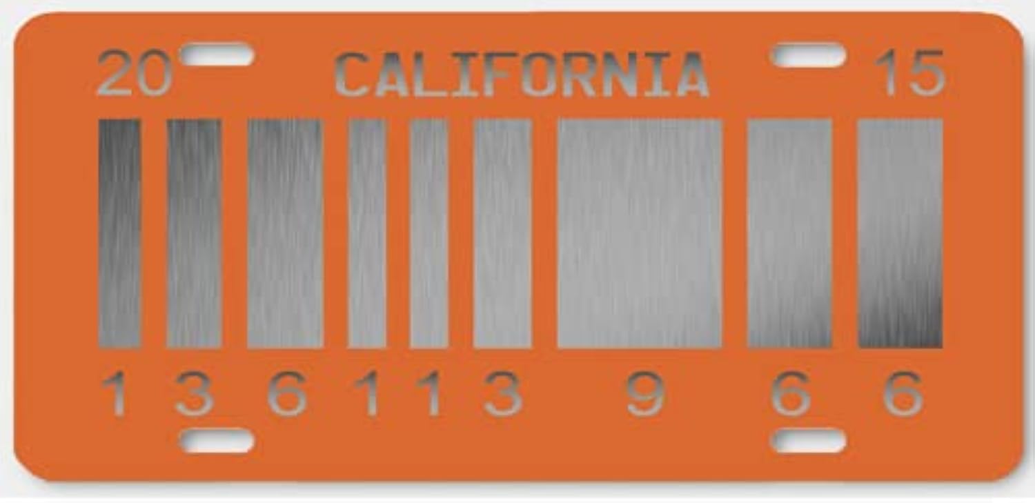 - Replica of the metal license plate of the Delorean TIME MACHINE car from the movie Back to the Future 2 (59)