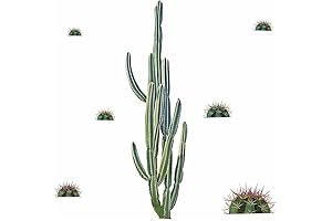 RoomMates Giant Cactus Peel and Stick Wall Decals