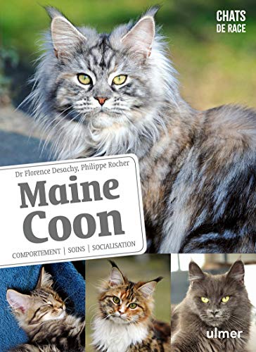 Télécharger Maine Coon - Comportement, soins, sociabilisation Francais PDF