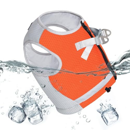 ppxXg | p3wpnpn[lX - Ŝ߂̔˃Xgbv̉Kȃn[lXAg[jOAX|[cp̒߉\ȃobNtqpxXg