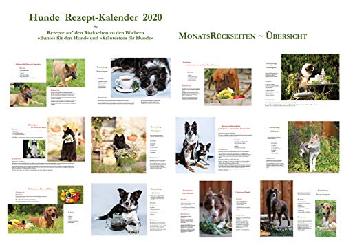 Hunde Rezept-Kalender 2020