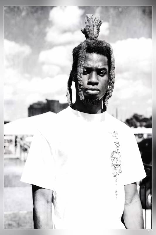 POSTERDADDY Denzel Curry Limited Matte Finish Paper Poster Print 12 x 18 Inch (Multicolor) PD-8118