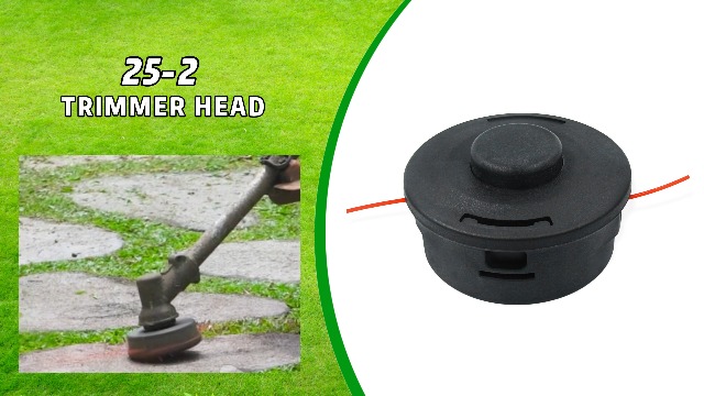 【☆彡-StaIll-】 Chuck Taylor All Star Archive Stars Unisex High Top Shoe