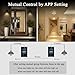 LANBON Smart Light Switch 1/2/3 Gang Work with Alexa & Google Home, Single Pole, No Dim, Needs Neutral Wire, Illuminated LCD Touch Switch Panel WiFi Mesh No Offline for Whole House Smart, L8-HS-Black