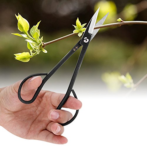 Tijeras Bonsai Acero Inoxidable 190 mm miniatura 6