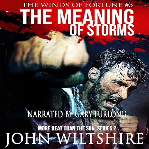 The Meaning of Storms by John Wiltshire episode artwork