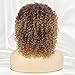 Daiaces Afro Blonde Curly Wigs Short Kinky Curly Full Wigs Brown Mixed Blonde Synthetic Heat Resistant Wigs For African Women With Wig Cap