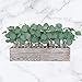 18 Pcs Eucalyptus Leaves Stems Bulk Artificial Greenery Stems Faux Face Silver Dollar Eucalyptus Plant Branches for Floral Arrangement Vase Centerpieces Bouquets Wedding Holiday Greens Decor