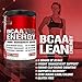 EVL BCAA Lean Energy Powder - Pre Workout Green Tea Fat Burner Support with BCAAs Amino Acids and Clean Energizers - BCAA Powder Post Workout Recovery Drink for Lean Muscle Recovery - Fruit Punch