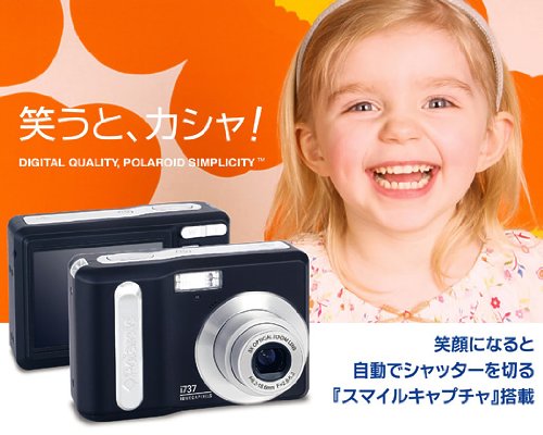 ウィンウィン　ポラロイド 楽天市場】 Polaroid ポラロイド SX-70 MODEL2 ホワイト×ブラウン 一眼