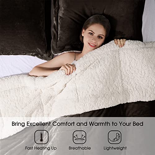 Basic Beyond Queen Comforter Set - Luxury Micromink Sherpa Fleece Bed Comforter Queen Set,Brown Comforter Set Queen Size For Winter,3-Piece(88"X88") #TOP2