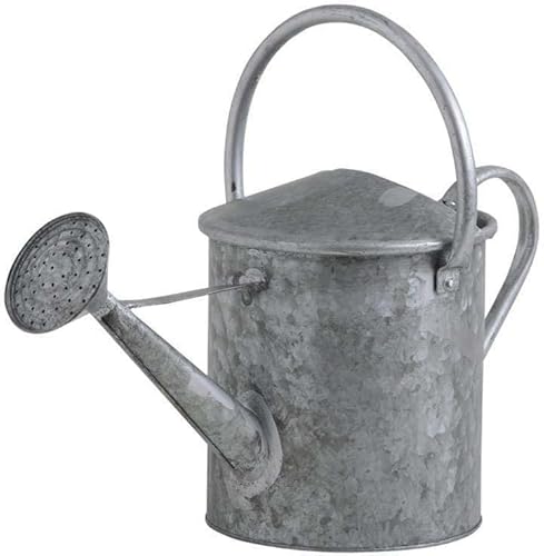 AUBRY GASPARD - Arrosoir Décoratif en Zinc Lourd - Contenance 5 litres - Ø 20 cm x Hauteur 33 cm - Anse Pratique - Idéal pour Décoration de Jardin - Robuste et Résistant à l Humidité