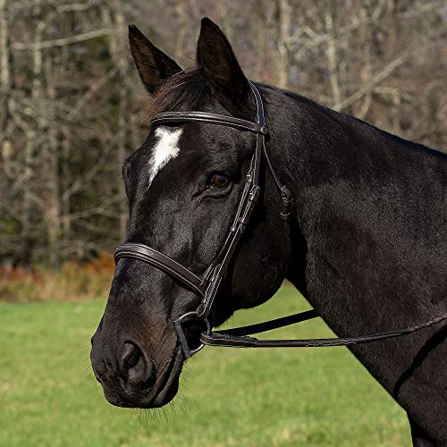 Rhinegold Anatomic Cavesson Bridle - Full - Black