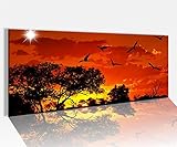 fertig bedrucktes Acrylglasbild (4 mm) in der ausgewählten Größe