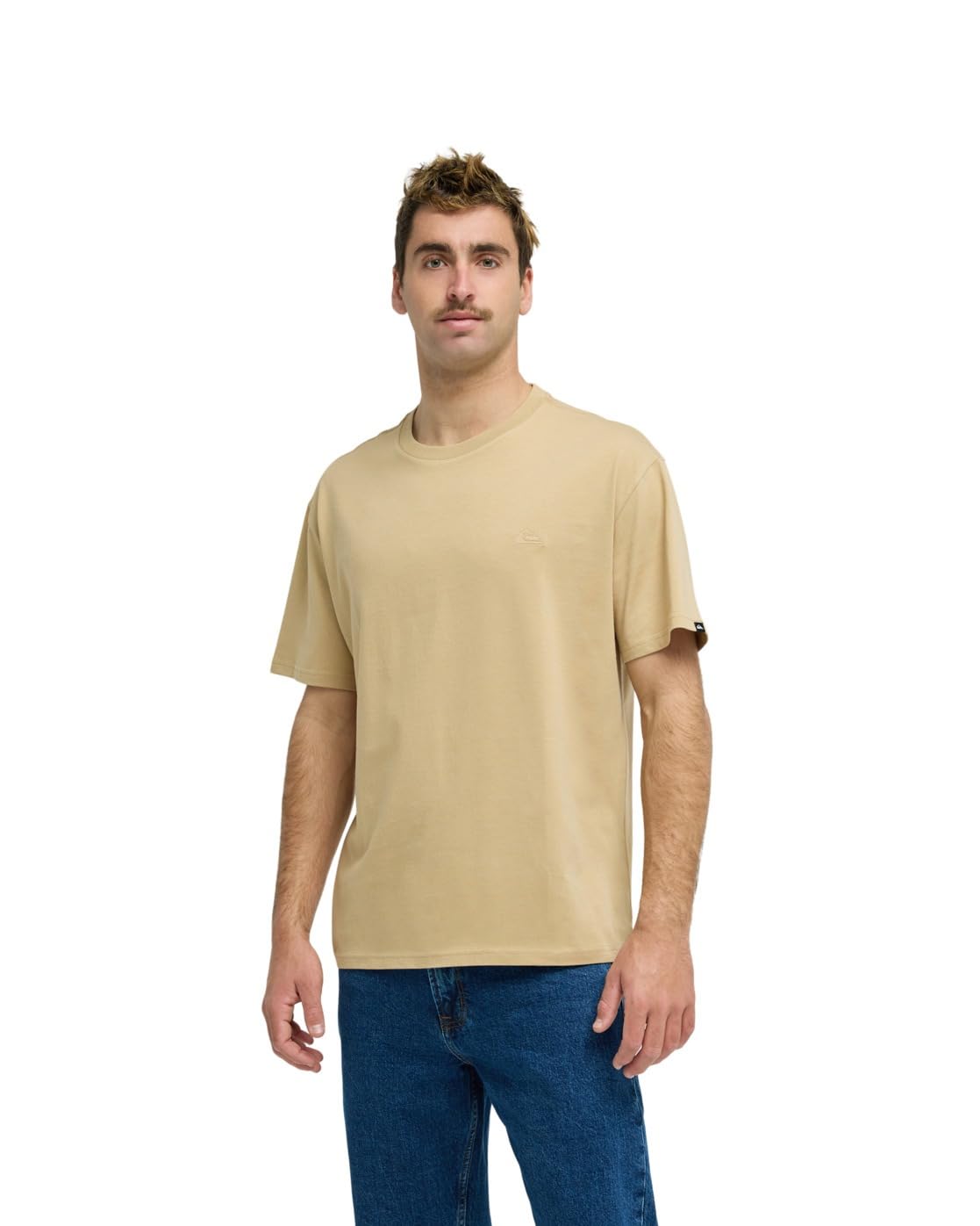 Quiksilver Short Sleeve T-Shirt Salt Water SS Mens Brown