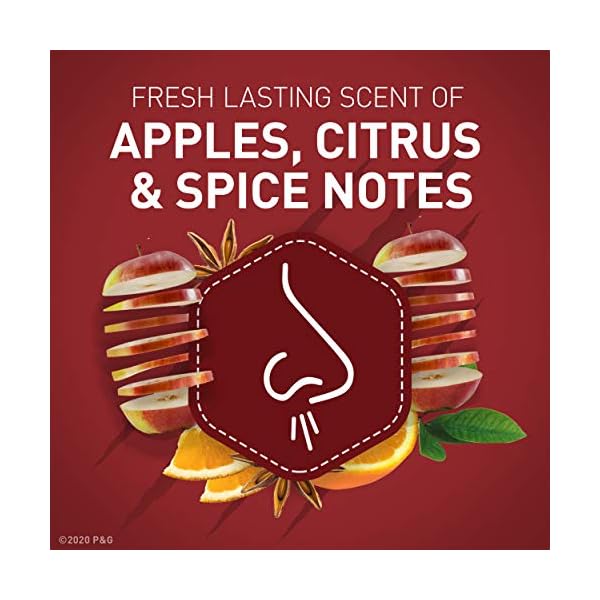 Old Spice Wild Bearglove Scent Body Wash for Men, 30 Fl Oz (Pack of 4)