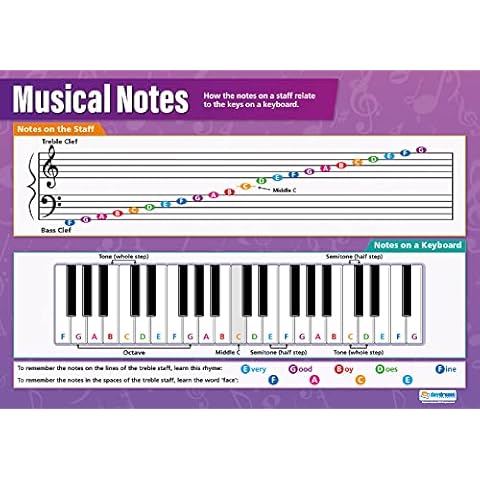 Daydream Education Musical Notes | Music Posters | Gloss Paper measuring 850mm x 594mm (A1) | Music Charts for the Classroom | Education Charts Cover