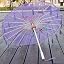 Purple a