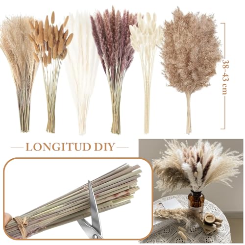 Hojas secas Kitchen 15 Imagen adicional