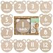 Kate & Milo Monthly Baby Milestone Photo Props, Teddy Bear Theme, Double-Sided Discs, Capture Every Month from 1-12