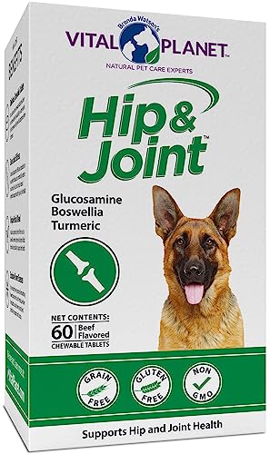 Vital Planet - Natural Hip and Joint Supplement for Dogs - Potent Herbal Blend with Green Lipped Mussel, MSM and Glucosamine Beef Flavor (60 Chewable Tabs)