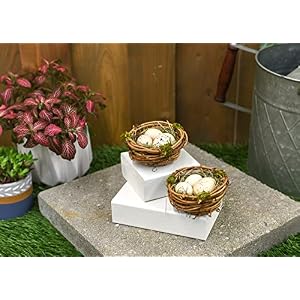 RAZ Imports Faux Birds Nests with Speckled Eggs Decorative Easter Accent Spring Decoration Box Set of 2 Brown Green Tan Yellow Beige 3Diax2H