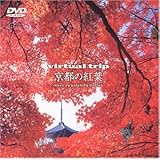 Virtual Trip 京都の紅葉 [DVD]