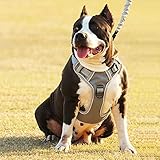 Brustgeschirr für Hunde großer Hund