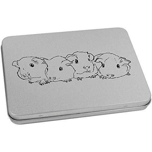 Azeeda 170mm 'Baby Guinea Pigs' Metal Hinged Tin/Storage Box (TT00077288)