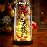 ZAZZIO Light for Women, Christmas Tree Decorations Light Gifts, Forever in A Glass Dome Gift for New...