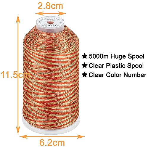 Image of New brothread - Single Huge Spool 5000M Each Polyester Embroidery Machine Thread 40WT for Commercial and Domestic Machines - Variegated Color-V-020
