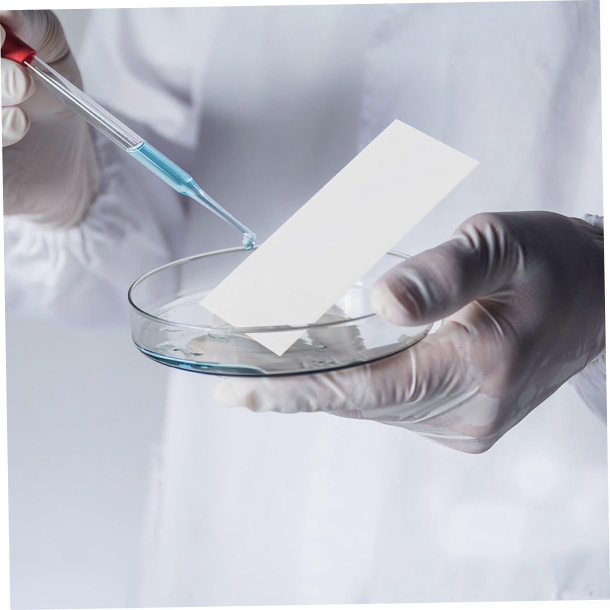 iplusmile 5000 Pezzi Esperimento con carta assorbente carta assorbente da laboratorio carta assorbente per esperimenti carta per la pulizia del laboratorio strisce di carta di prova bianca