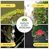 Albagarden B0C6R1PSX2 lato 4