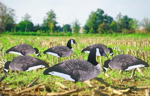 Snow Down Decoys Canada Goose Silhouette Decoys. Canda Goose Silhouette Decoys with Flocked Heads and Metal Stakes. 12 Pack, Blue