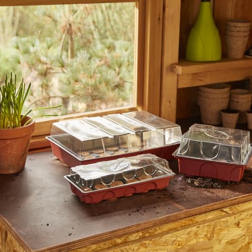 Anzuchtgewächshaus aus Kunststoff 348 x 233 x 112 mm inkl. 24 Quelltabs Ø 36 mm, mit transparentem Deckel