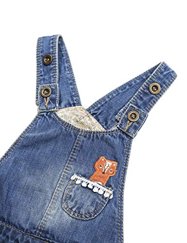 Image of KIDSCOOL SPACE Baby Little Girls Fox Flowers Embroidered Lace Denim Overall Dress