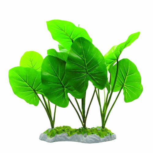 Fluval Chinodorus Plant For Aquarium, 11.5-Inch #TOP1