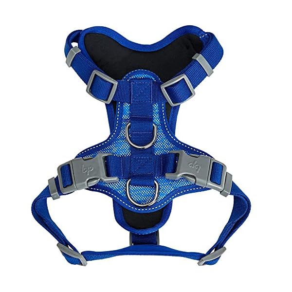 Blueberry Pet Soft & Comfy Reflective Mesh Padded No Pull Dog Harness Vest in Blue, Medium, Adjustable Harnesses for Dogs Blueberry Pet Soft & Comfy Reflective Mesh Padded No Pull Dog Harness Vest in Blue, Medium, Adjustable Harnesses for Dogs