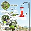 FEED GARDEN Short Shepherds Hooks for Outdoor, 48 Inch Bird Feeder Pole with 5 Prongs Base, Heavy Duty Shepherds Hook Garden Hook for Hummingbird Feeder, Hanging Lantern, Plant Baskets,1 Pack #3