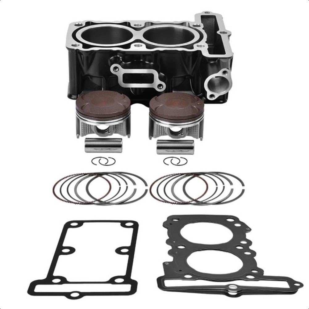 67mm 11005-0619 Motor Bike Cylinder Head Overhaul Kit Piston Rings Gasket Compatible With 300 EX300 300 ABS SE