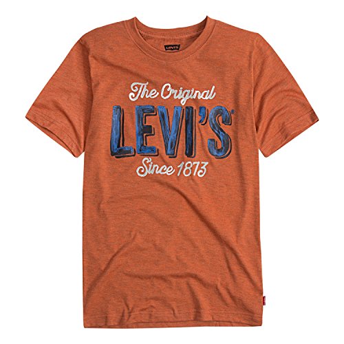 Levi's Boys' Big Graphic T-Shirt, Burnt Ochre/Blue, L