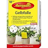 SCHNELL UND EFFEKTIV: Unsere Gelbfallen für die erfolgreiche Bekämpfung von Trauermücken, geflügelten Blattläusen, Minierfliegen Trauerfliegen, der Kirschfruchtfliege, weiße Fliegen und Zikaden