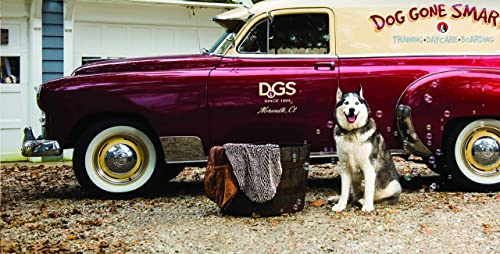 Dog Gone Smart Shammy Dog Towels For Drying Dogs - Heavy Duty Soft Microfiber Bath Towel - Super Absorbent, Quick Drying, & Machine Washable - Must Have Dog & Cat Bathing Supplies | Brown 13X31" #TOP5