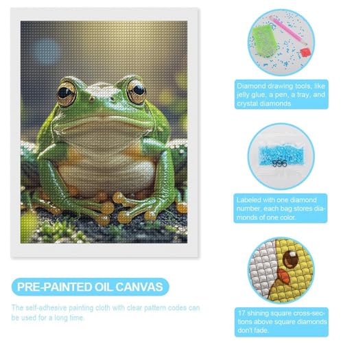 Kit peinture diamant grenouille 5D le cadeau créatif idéal pour adulte et débutant - 3