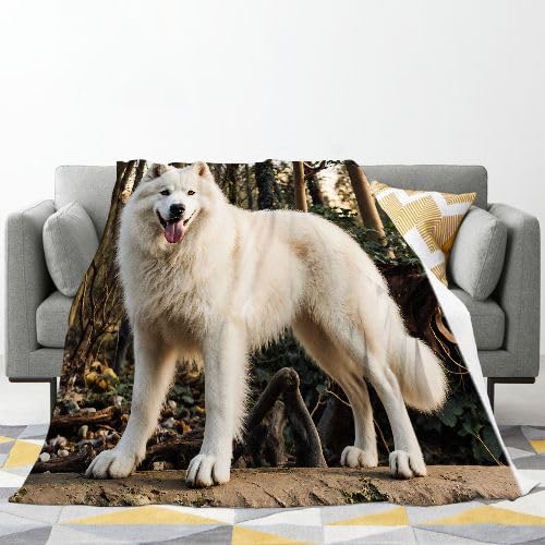 Plaid Polaire 220x240 Animal Chien, Couverture Polaire 220x240 | Dimensions Royales pour Lit King Size, d'une Douceur Persistante, Procure Une Expérience de Sommeil Chaleureuse I11-