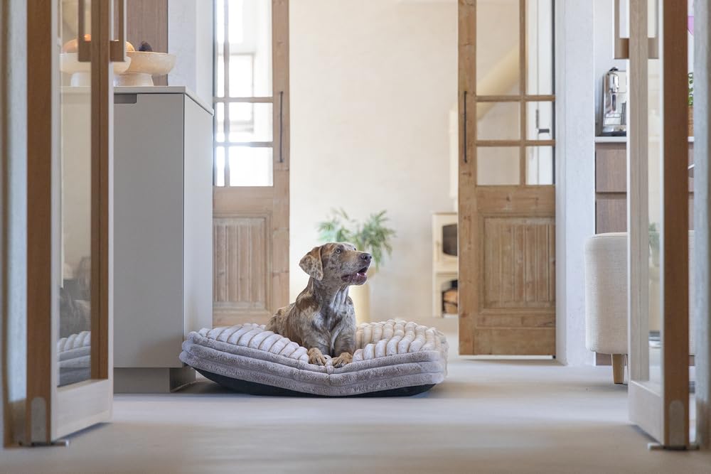 Designed by Lotte Reza, Hundekissen, Beige, 120x80x12 cm